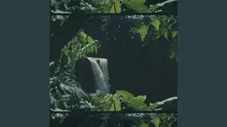 Empty Pool