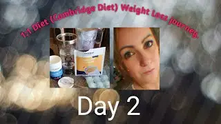 One 2 One diet by Cambridge weight plan. Day 2 Vlog.
