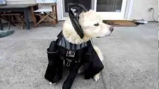 Star Wars Darth Vader Pet Dog Halloween Costume