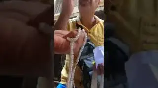 SCAMS IN CAIRO | STREET SELLERS HAWKERS & SCAMMERS SELLING FAKE GOODS