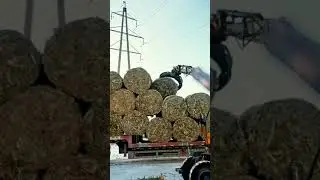 Look! The Jinggong loader is on the go, with its sturdy build and precise operation, swiftly picking