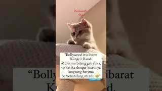 Prindavante Style Laughindia coverbollywoodsongs songs