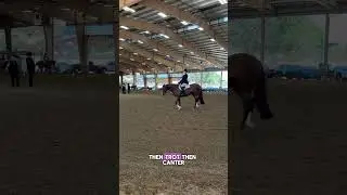 Hunter/Jumper reacts to Quarter Horse HUS #equestrian #hunterundersaddle #quarterhorse #horseshow