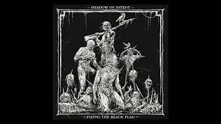 SHADOW OF INTENT Flying the Black Flag