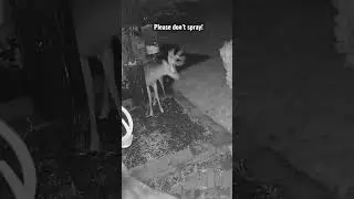 Would this make you nervous?