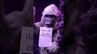 Jim the white gorilla says THANK YOU!!