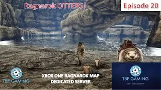 Otter Tame Xbox One Ragnarok E20 Ark Survival Evolved Dedicated Server - Otter Fishing