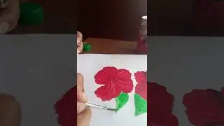 Hibiscus 🌺 