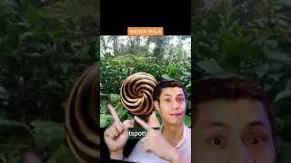 Tesla Technology - Qi Coil&trade; Meditation Technology #shorts