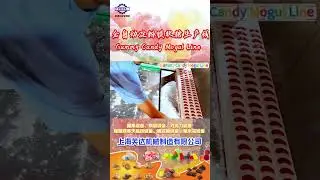 Fully Automatic Starch Mogul Gummy Candy Production Line #gummymachine #gummybear #candymachine