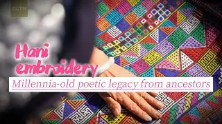 Hani embroidery: Millennia-old poetic legacy from ancestors