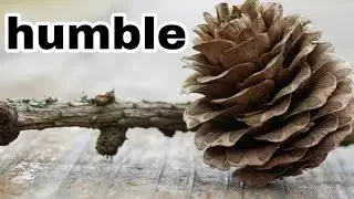 Блаженны нищие духом, ибо ваше есть Царствие Божие. Лука 6:20 Мф 5:3