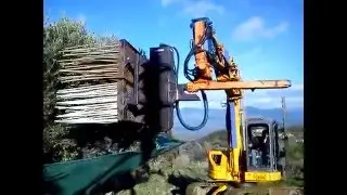 ΕΛΑΙΟΡΑΒΔΙΣΤΙΚΟ