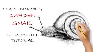 Learn to Draw a Realistic Garden Snail With a Pencil | Step-by-Step Drawing Tutorial