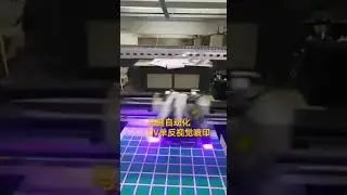 Automatic UV SLR Large Visual Positioning Printing System