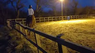 Charlie Adkins, PHA Just Divine( Bertie), novice 27, Dressage Addict, Junior, January 2022