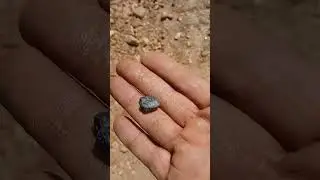 colombita e o mesmo ni&oacute;bio