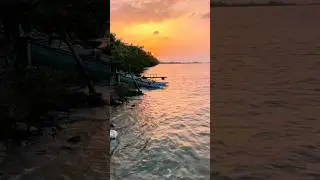 Peaceful Lagoon Sunset 🌅 | Northern Sri Lanka 🇱🇰 #shorts #beach #sunset #travel