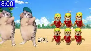 【施工管理】現場監督の1日【ブラック】#猫ミーム#猫マニ#建設業