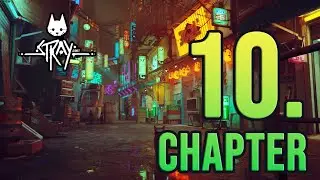 Stray | CHAPTER 10 100% Guide | WALKTHROUGH