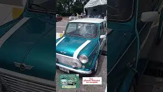 MINI VERDE