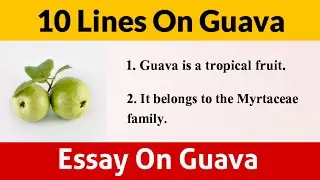 10 Lines Essay On Guava | 10 Easy Sentences About Guava In English | Essay On Guava