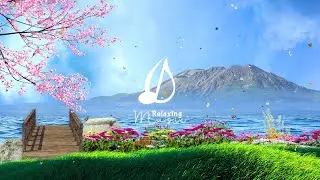 Музыка для медитации, музыка для сна, музыка для йоги | Расслабляющая музыка (Relax 365)