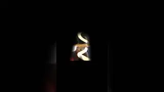 hot/ Girls WINE Fire marshall new dancehall#Reggae#music#