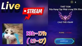 chill rank tft  - leo rank tđ, n&agrave;o tđ coaching free
