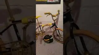 Vintage BMX bike Collection!