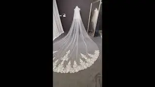 Lace Edge Cathedral Veil with Comb & Blusher