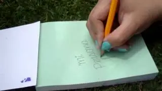 MOV09498