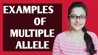 MULTIPLE ALLELE - EXAMPLES (8)