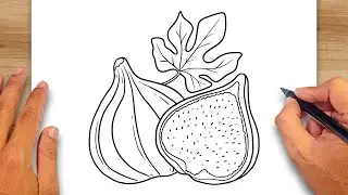 How to draw Fig Fruit - Fig Fruit Drawing Ideas