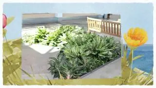 Indoor Office Plants Memphis | Interior Plantscape Service | Foliage Design Systems of Memphis