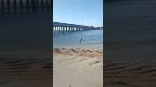 matanzas inlet fishing