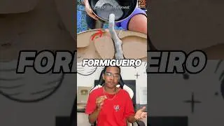 CIMENTO DENTRO DO FORMIGUEIRO! #curiosidades #shorts