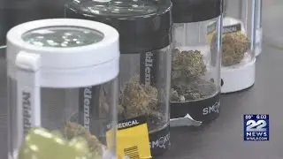 Hampden County's first recreational pot shop open for adult use sales