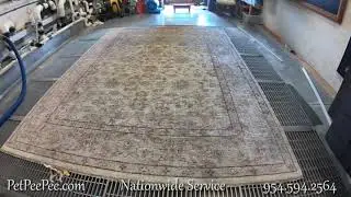 PetPeePee Oriental rug cleaning process A Cleaning process that makes Sence