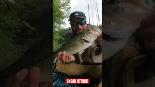 Softest top water bite ever haha. #kayaking  #fishing #bass #bassfishing #kayakfishing #outdoors