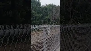 one of my school friends does SAAHC in car