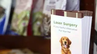Welcome to Animal Family Vet Care Center of Paris