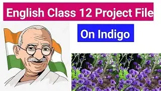Class 12 / English project file / Topic : INDIGO/ @creativechannel5924