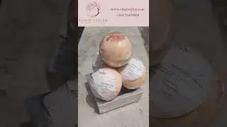 Handmade Coconut Bath Bombs