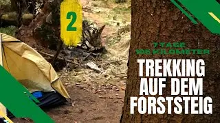 Forststeig - Teil 2