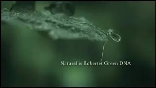 Robertet &mdash; лидер в области натурального