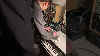 Live Electronica Synth Set 