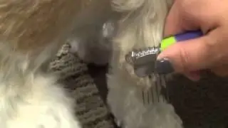 Li'l Pals&reg; Dematting Comb