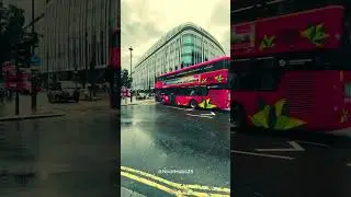 Beautiful London Views 🇬🇧 | Travel Vlog 2025 | #London #LondonViews #BeautifulLondon  #UKTravel