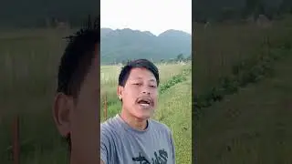 Happy Kati Bihu #highlights #update #payoutproblem #facebookpage #latesupdates #motivation #assam